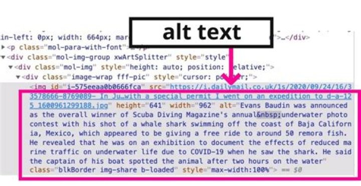 How do I show alt text in HTML?