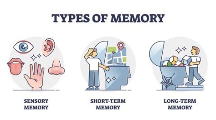 How do schemas affect memory?