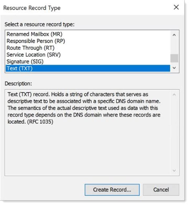 How do you add the TXT record below to the DNS configuration?