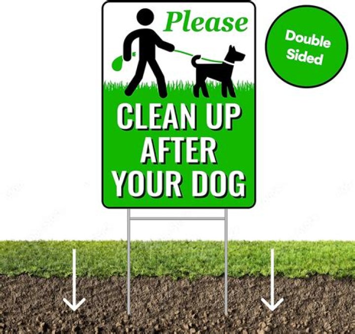 How do you clean dog poop out of yard?