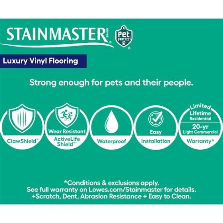 How do you clean Stainmaster Pet Protect?