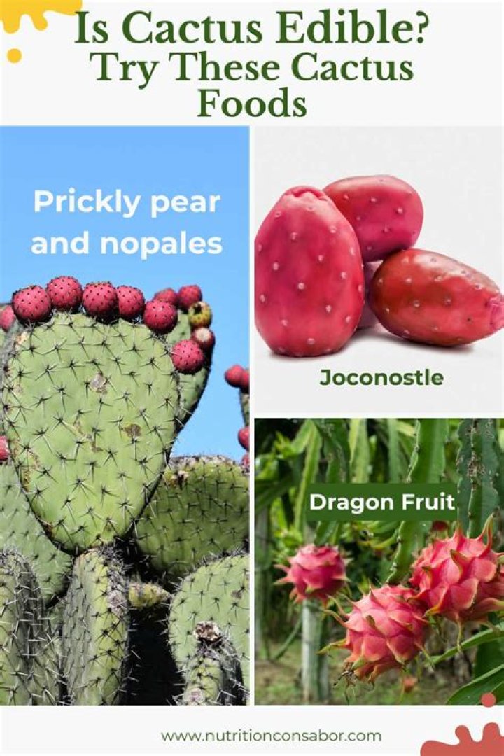How do you eat nopales cactus?