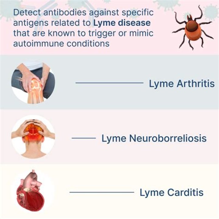 How do you get rid of Lyme disease inflammation?