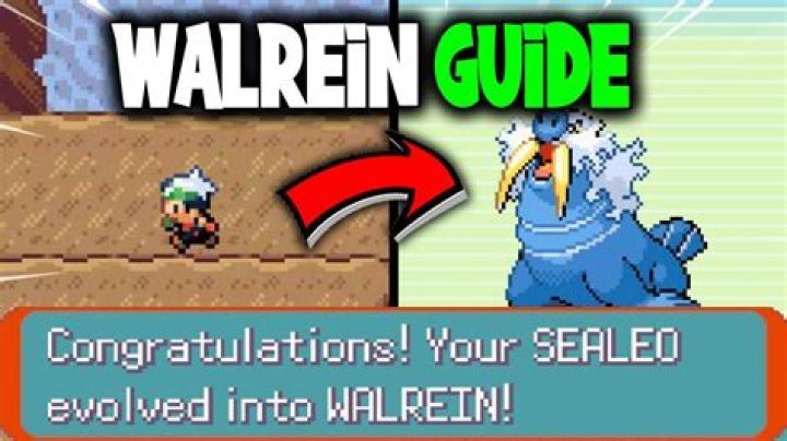 How do you get Walrein?