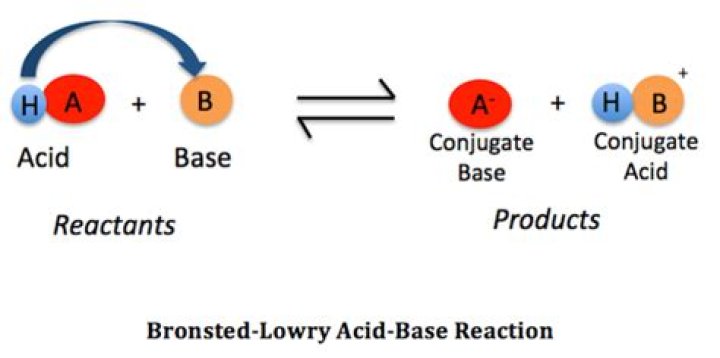 How do you identify a Bronsted-Lowry acid or base?