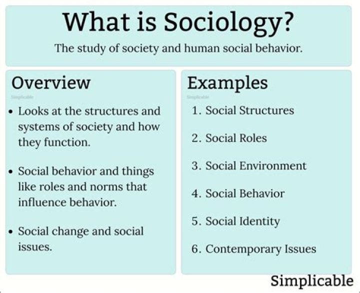 How do you sociologists observe society?