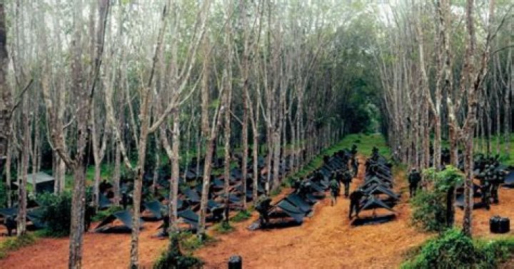 How do you survive in field camp BMT?