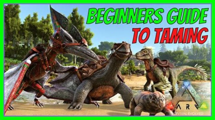 How do you tame effectively in Ark?
