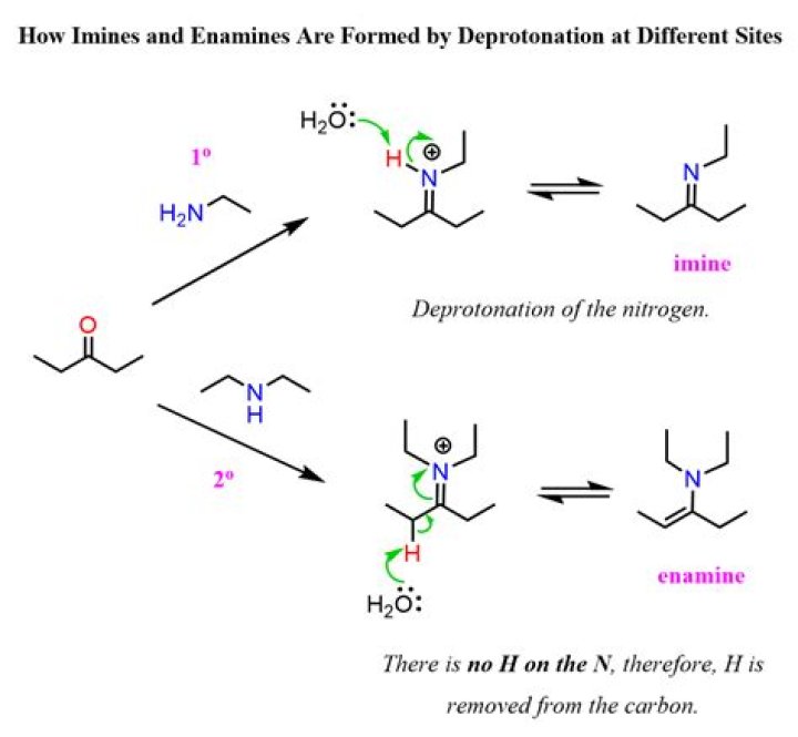 How do you turn imine into amine?