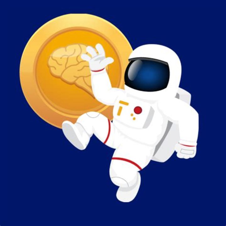 How do you use brain Explorer?