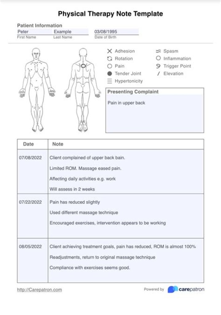 How do you write a physical therapy assessment note?
