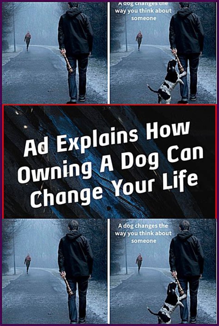 How does getting a dog change you?