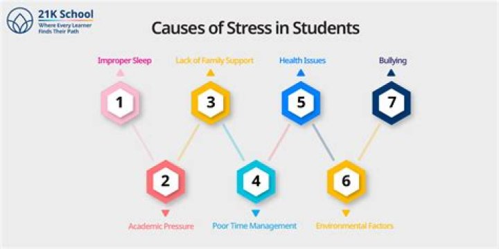 How does school cause stress?