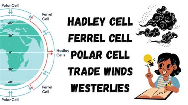 How does the Ferrel cell affect weather?
