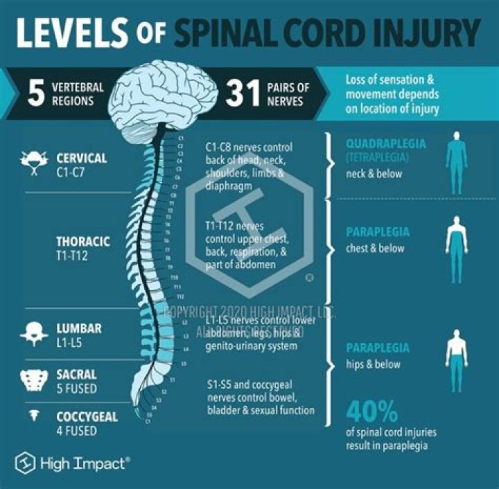 How is neurological level of injury determined?