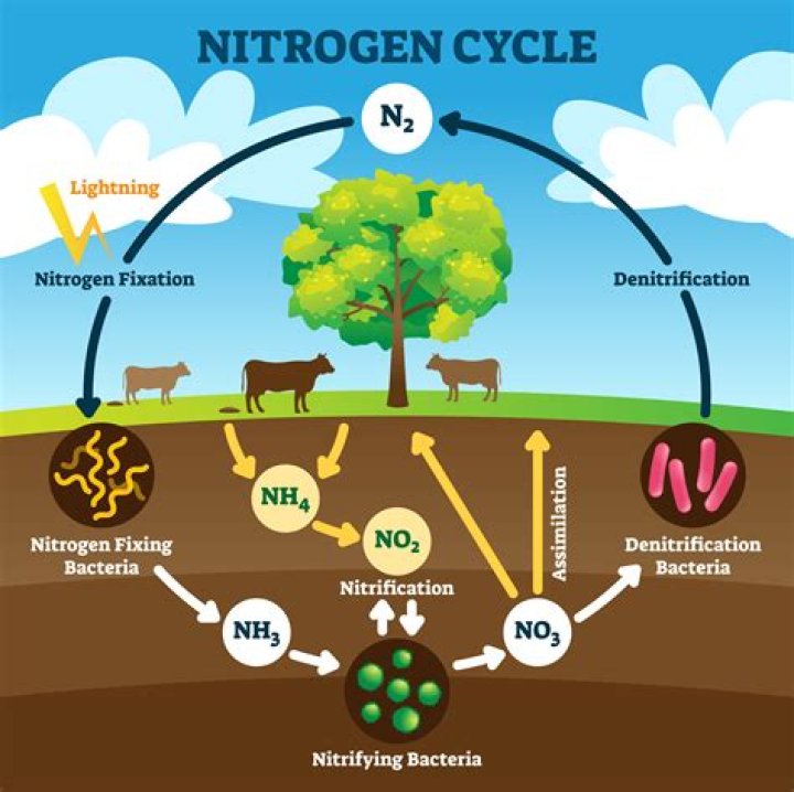 How is oxygen and nitrogen produced?
