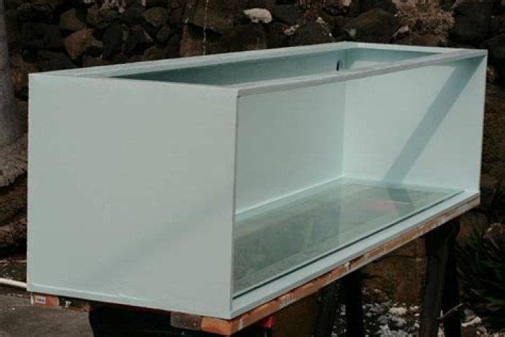 How long do Plywood Aquariums last?