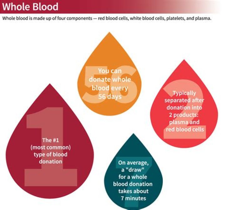 How long does a whole blood donation take?