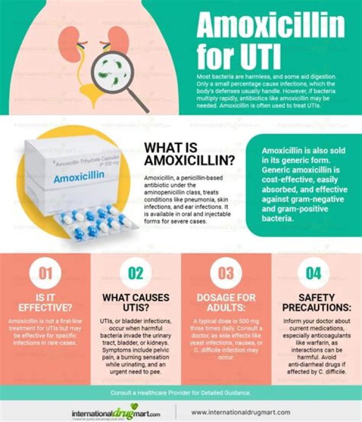 How long does it take Amoxicillin to work for UTI?