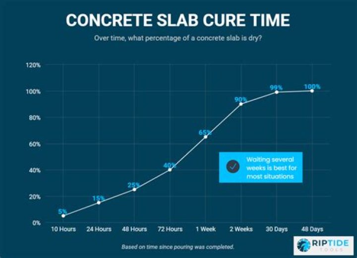 How long does Plast take to cure?