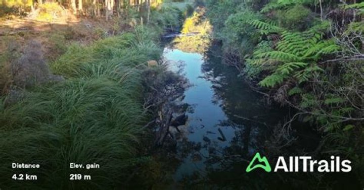 How long is butterfly creek walk?