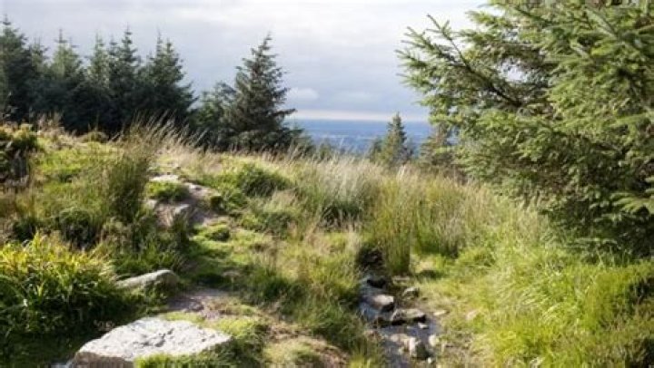 How long is Cruagh walk?