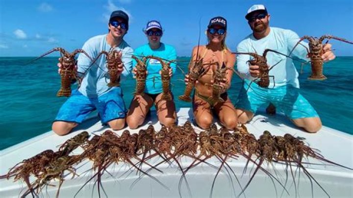 How long is mini lobster season in Florida?