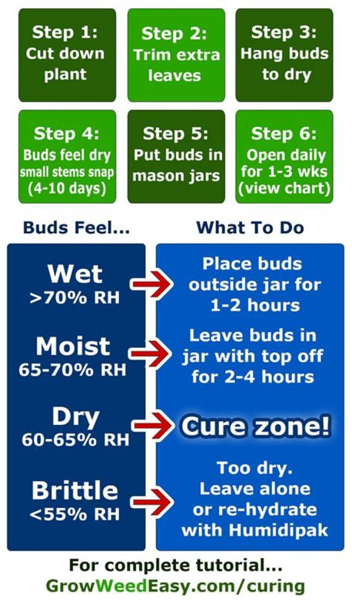 How long should bud dry before curing?