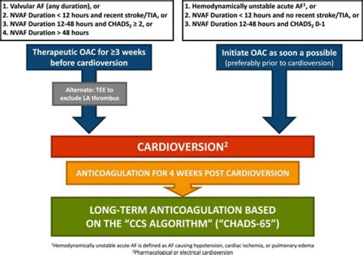 How long should you rest after cardioversion?