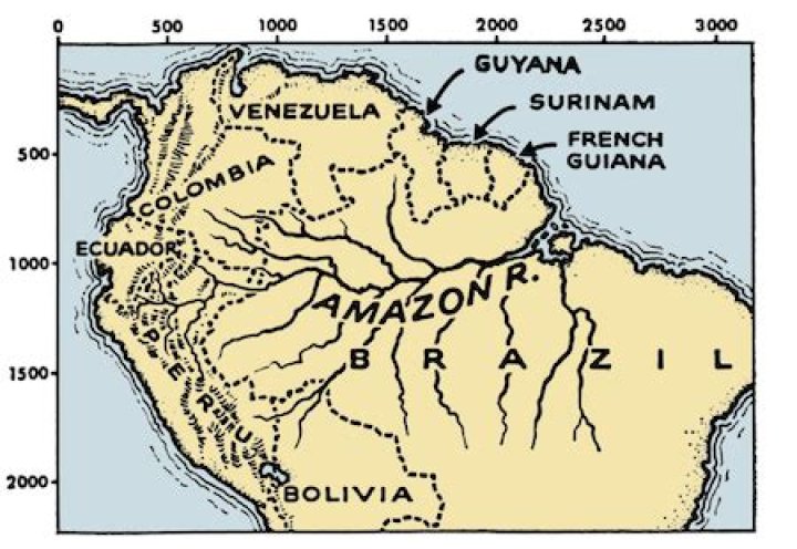 How many countries do the Amazon river run through?