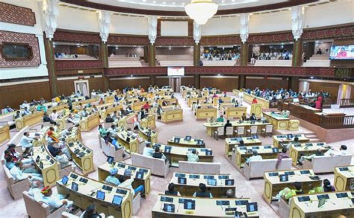 How many members are there in Rajasthan Vidhan Sabha?