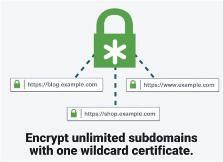 How many subdomains does a wildcard certificate cover?