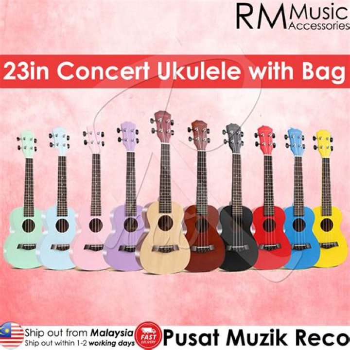 How much does a ukulele cost in Malaysia?