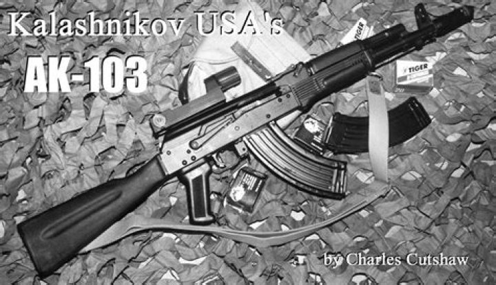 How much does AK-103 cost?