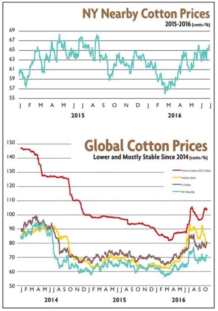How much does cotton cost 2021?