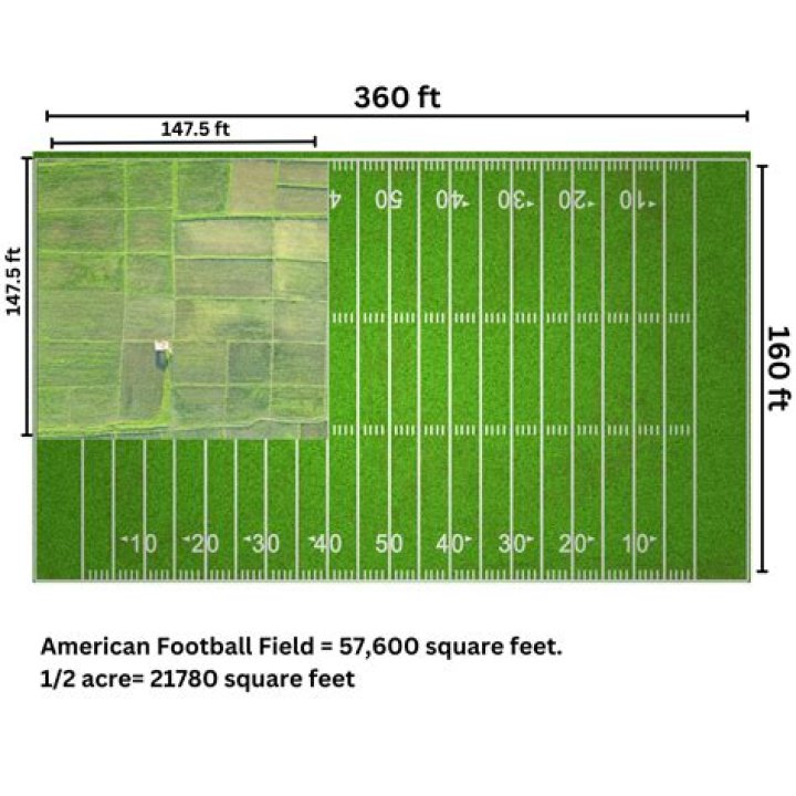 How much does it cost to plant 5 acres of alfalfa?