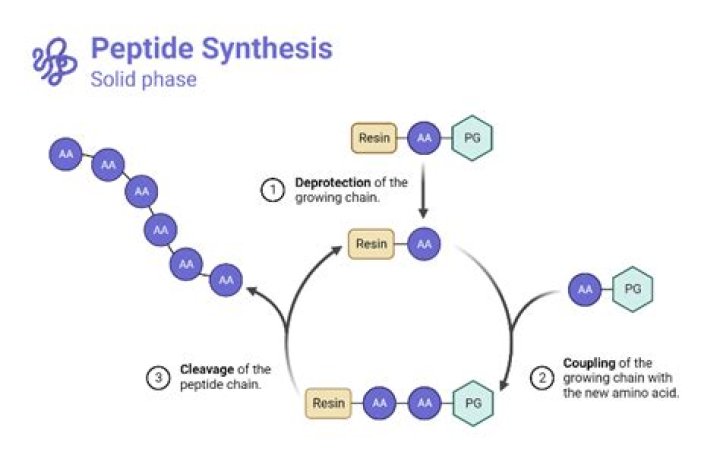 How much does peptide synthesis cost?