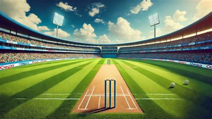 How much is a new line at cricket?