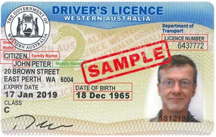 How much is a NSW drivers Licence renewal?