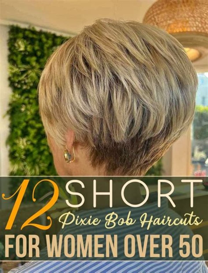 How much is a pixie bob worth?