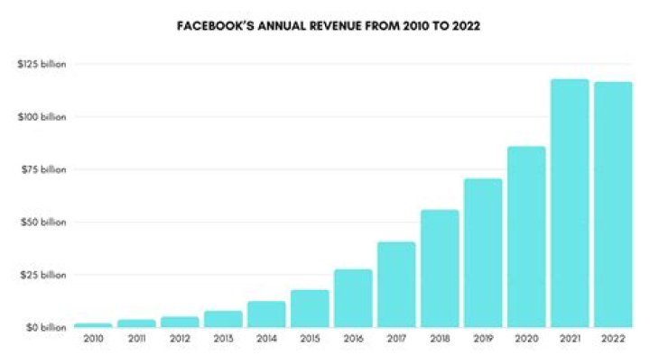 How much profit does Facebook make a year?