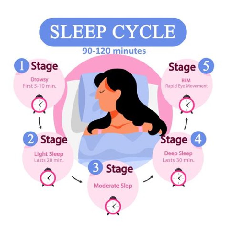 How much time should you spend in each sleep cycle?