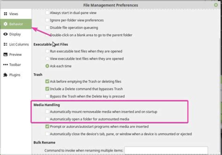 How to disable automount linux?