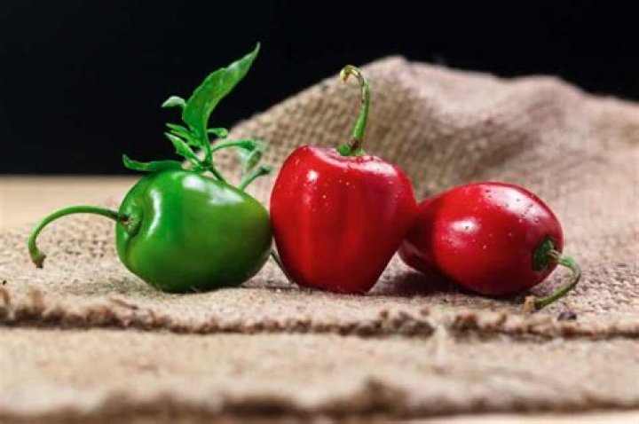 Is a Manzano pepper hot?