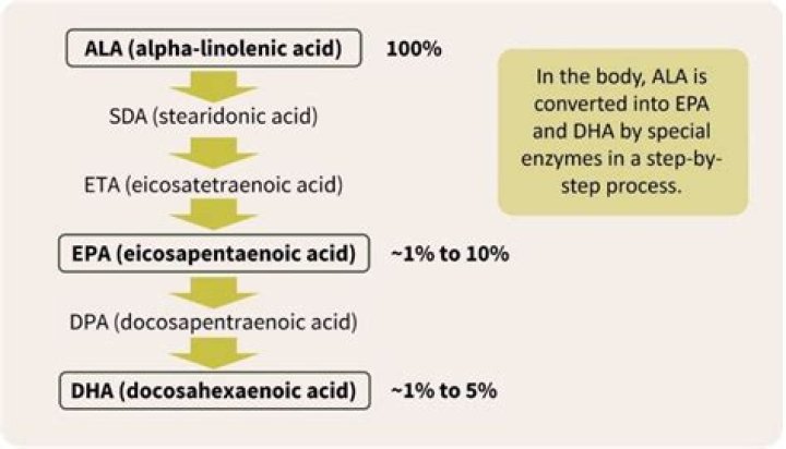 Is ALA and omega-3 the same?