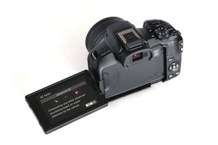 Is Canon EOS a professional camera?