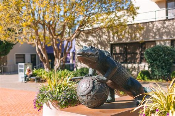 Is CSULB a good art school?