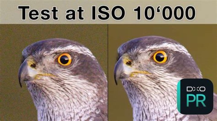 Is DXO reliable?