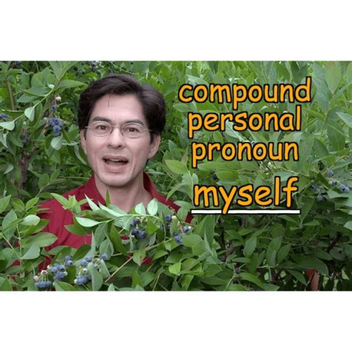 Is it grammatically correct to use myself?