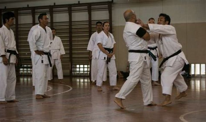 Is Kyokushin Karate effective in a street fight?